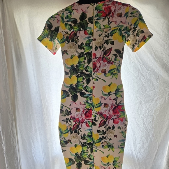 Beautiful Lemon Rose Dress - Picture 7 of 12